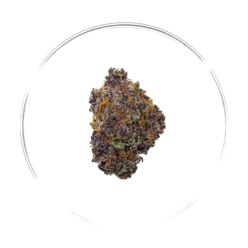 Lucid Dream - THCa Flower 32.3%