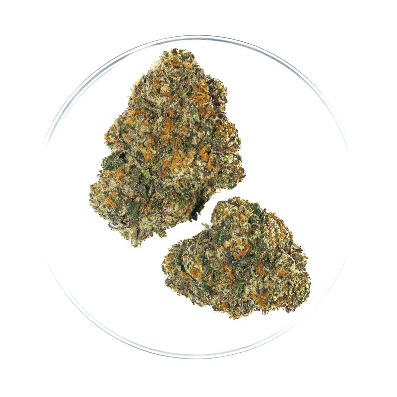 Memory Loss - THCa Flower 42.37%