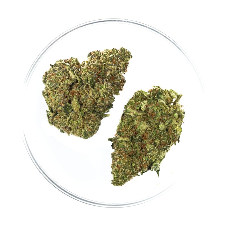Prohibition Sour - THCa Flower 37.13%