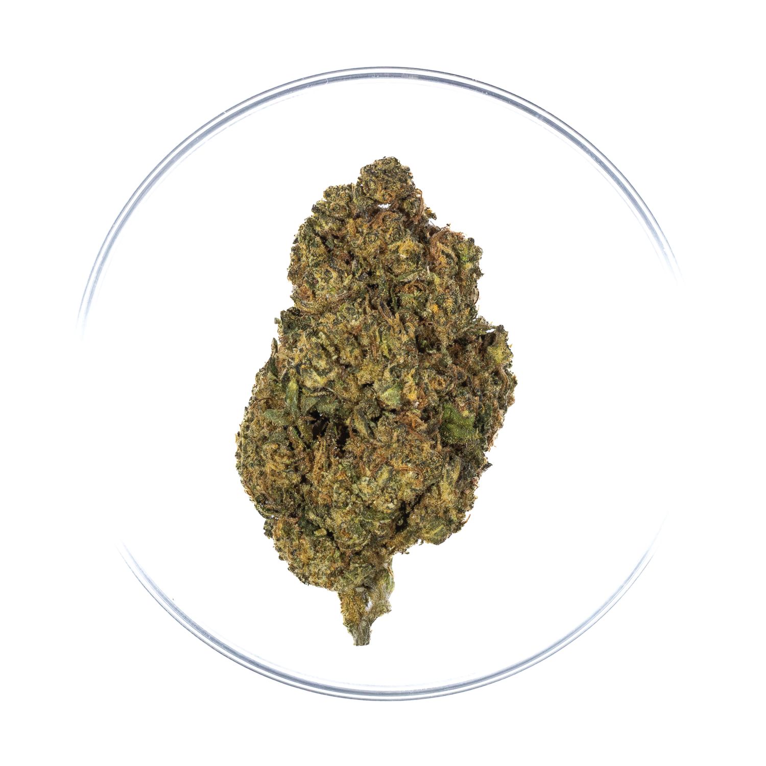 Pina Colada - THCa Flower 27.96%