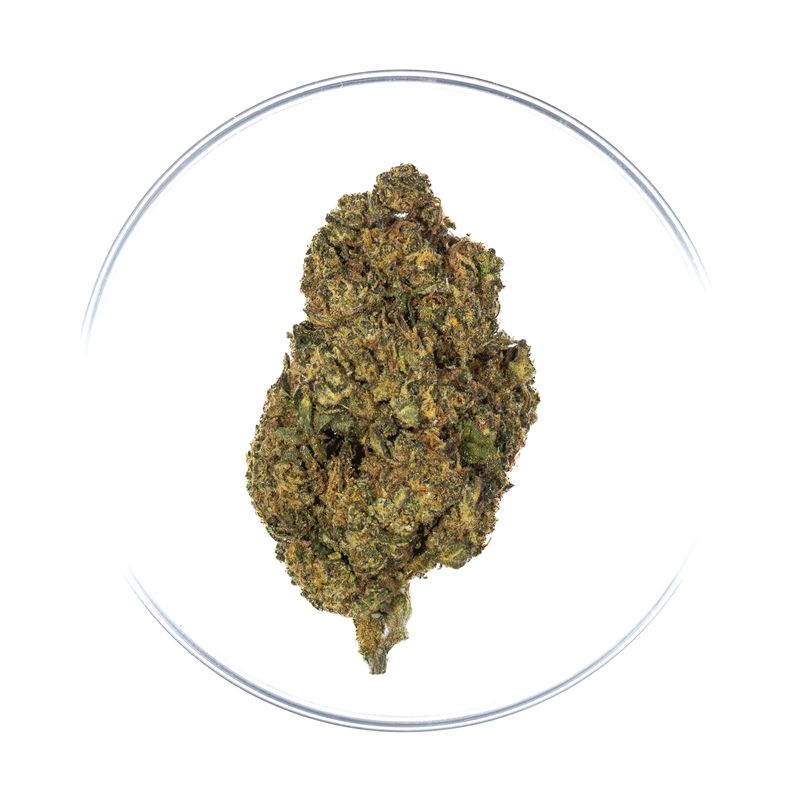Pina Colada - THCa Flower 27.96%