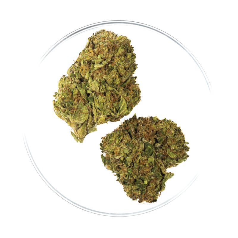 Slurricane - THCa Flower 28.83%