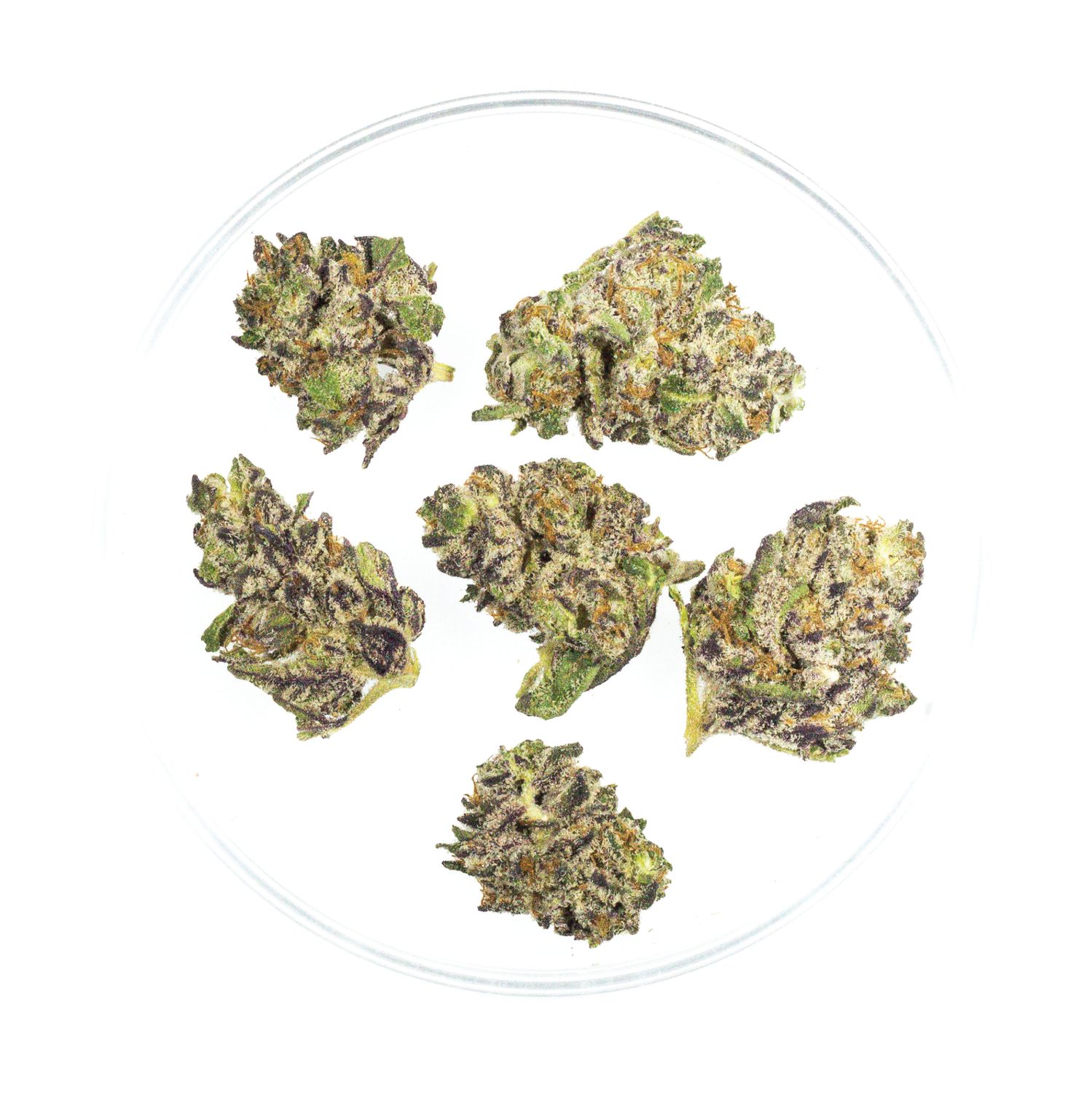Purple Thai - THCa Flower 26.7%