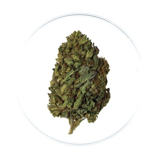Bubba Kush, CBD 12.67% TAC