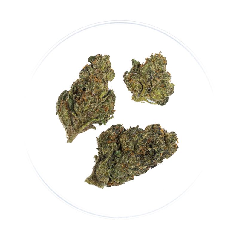 Astro Candy - THCa Flower 28.1%