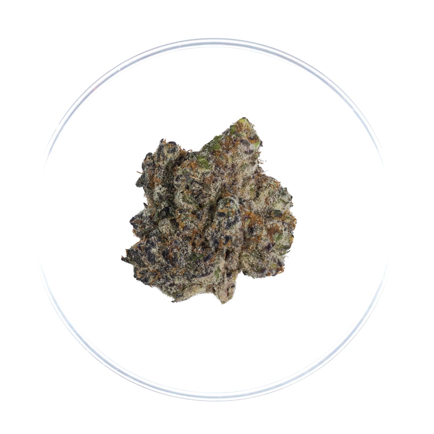Cherry Dosi - THCa Flower 36.11%