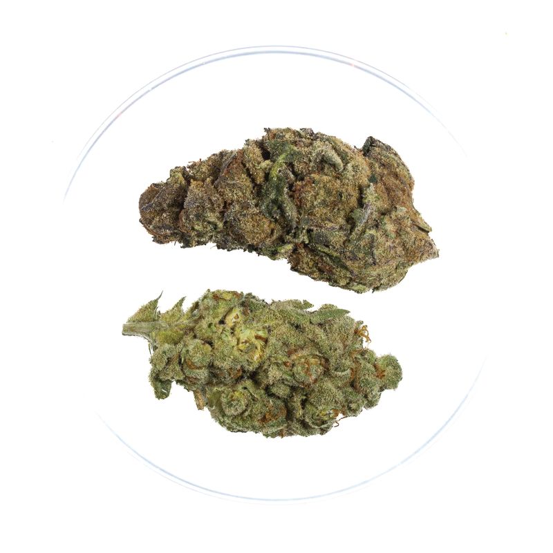 Sour Patch Kids - THCa Flower 27.63%
