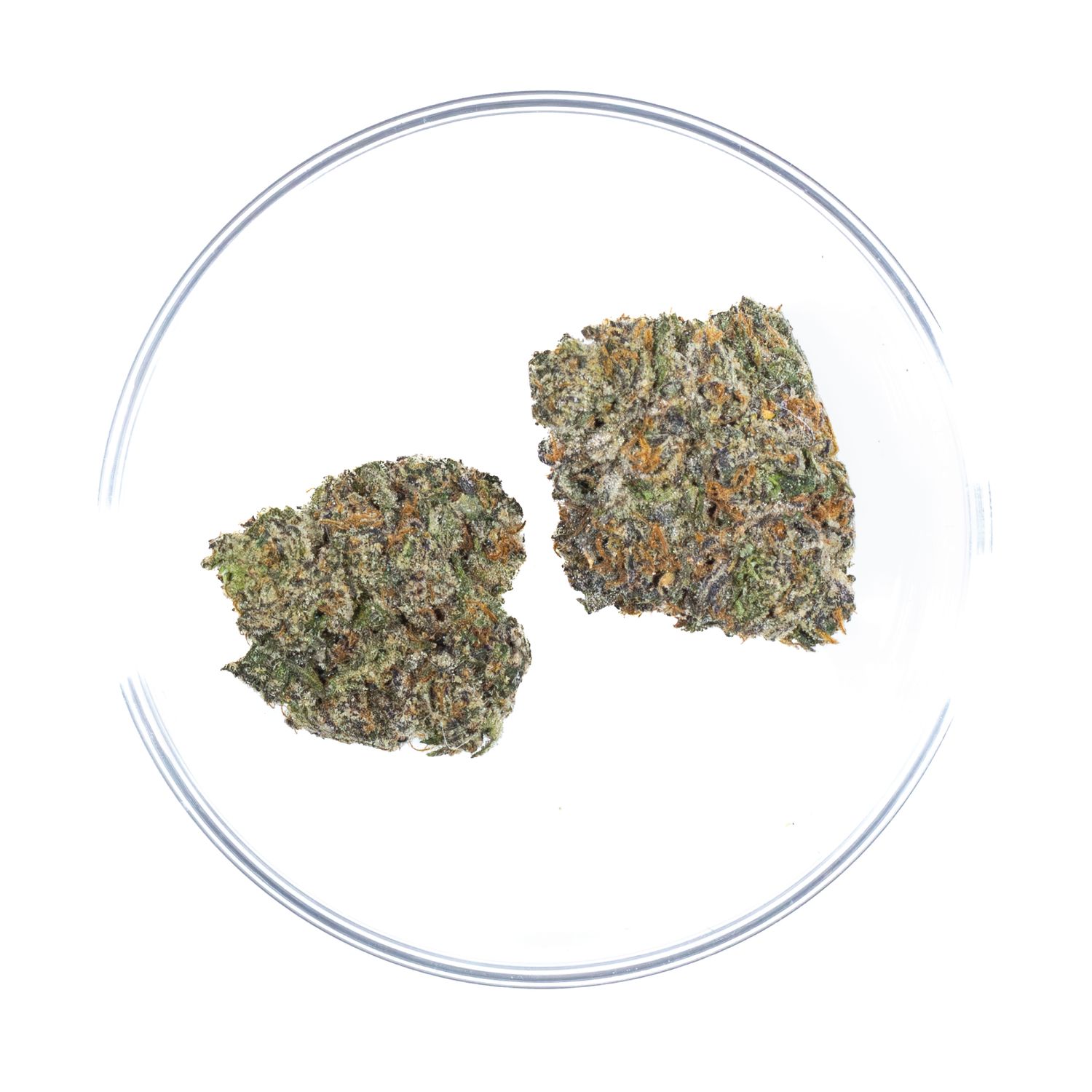 Sex Panther - THCA Flower 41.5%