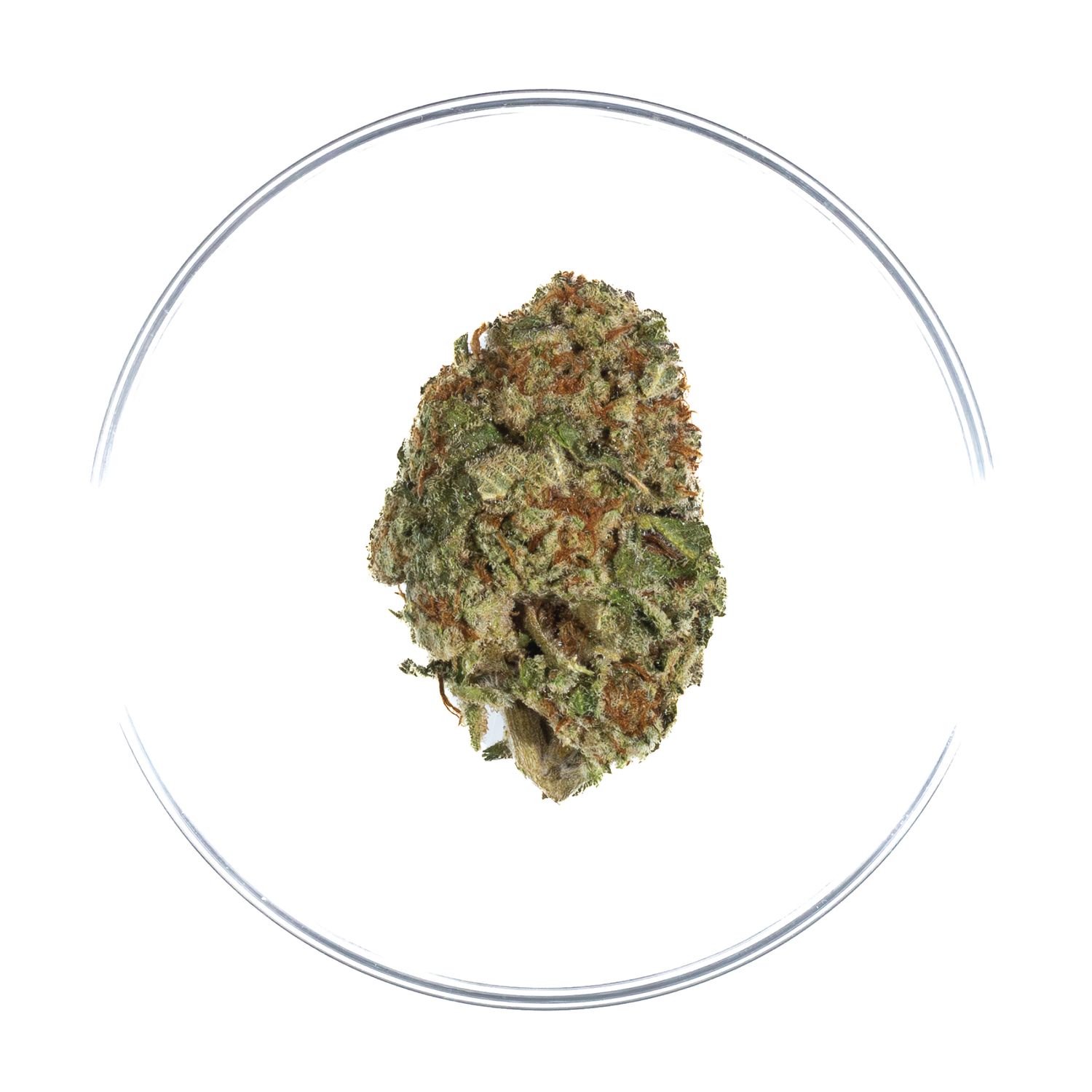 Miami Moonshot - THCa Flower 29%