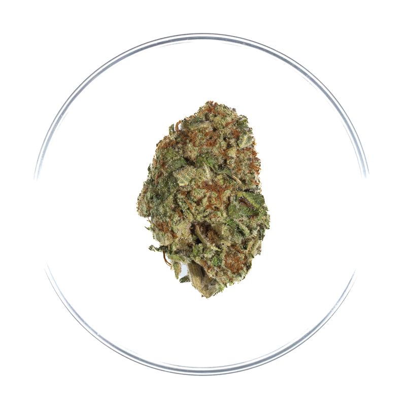 Miami Moonshot - THCa Flower 29%