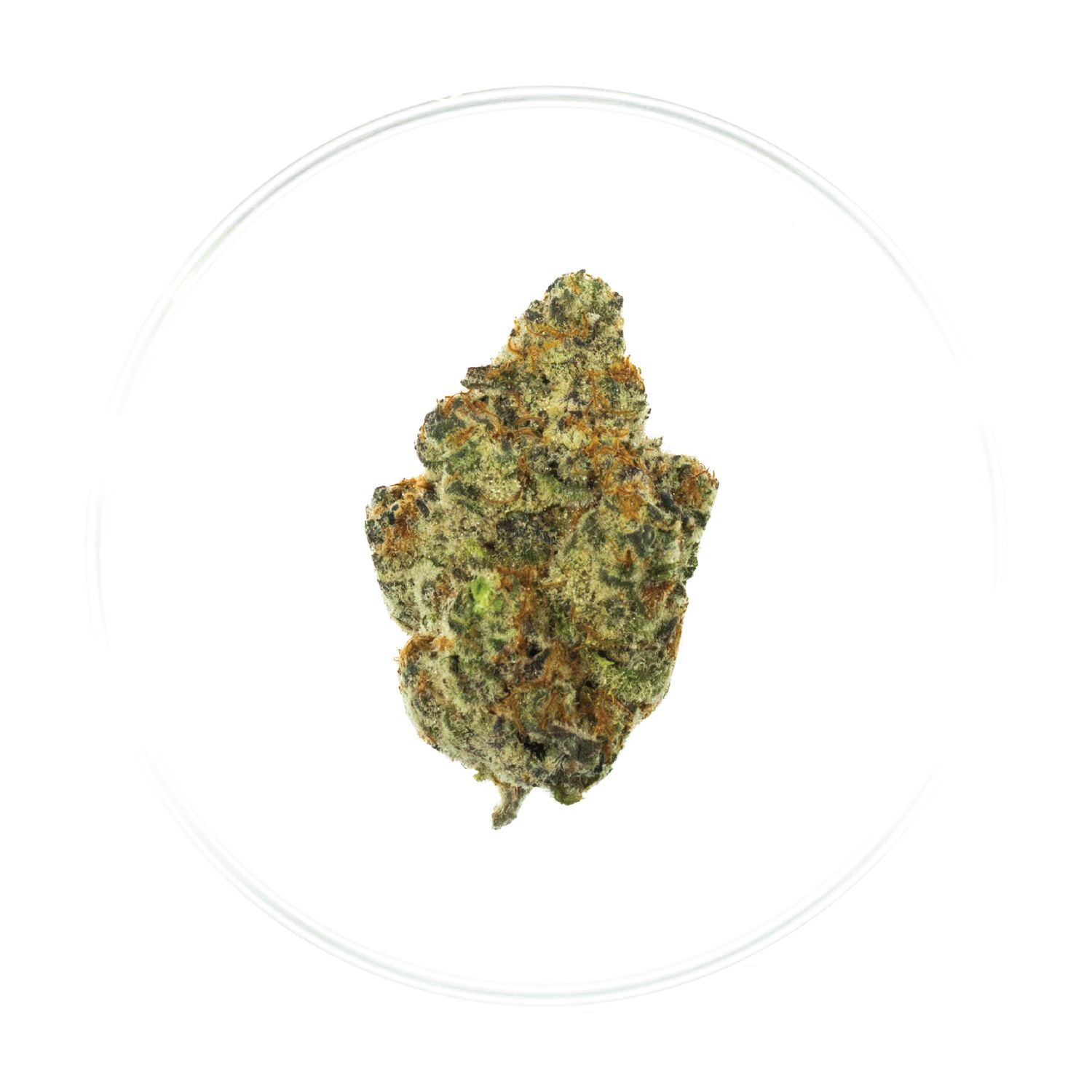 Grape Stomper - THCa Flower 39.95%