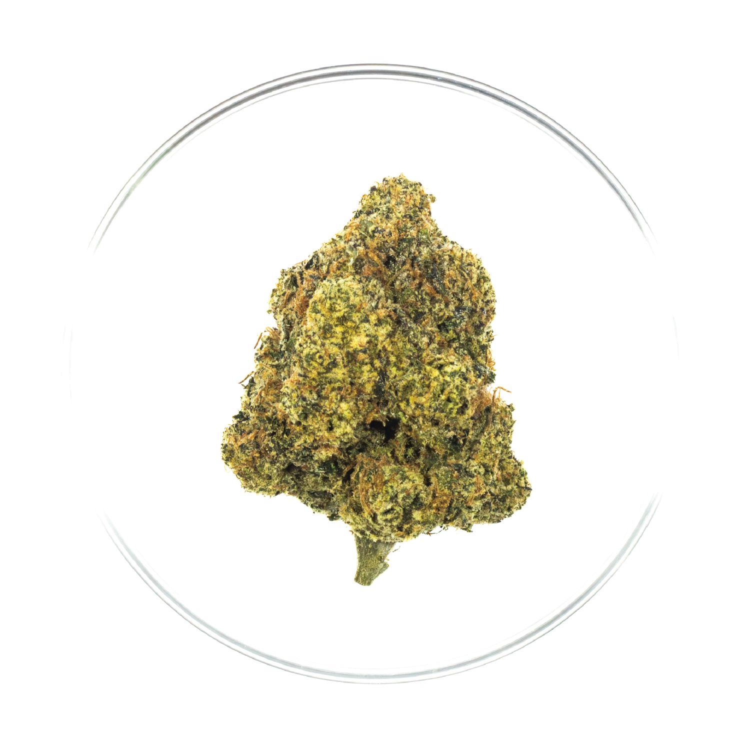 Sour Joker - THCa Flower 35.56%