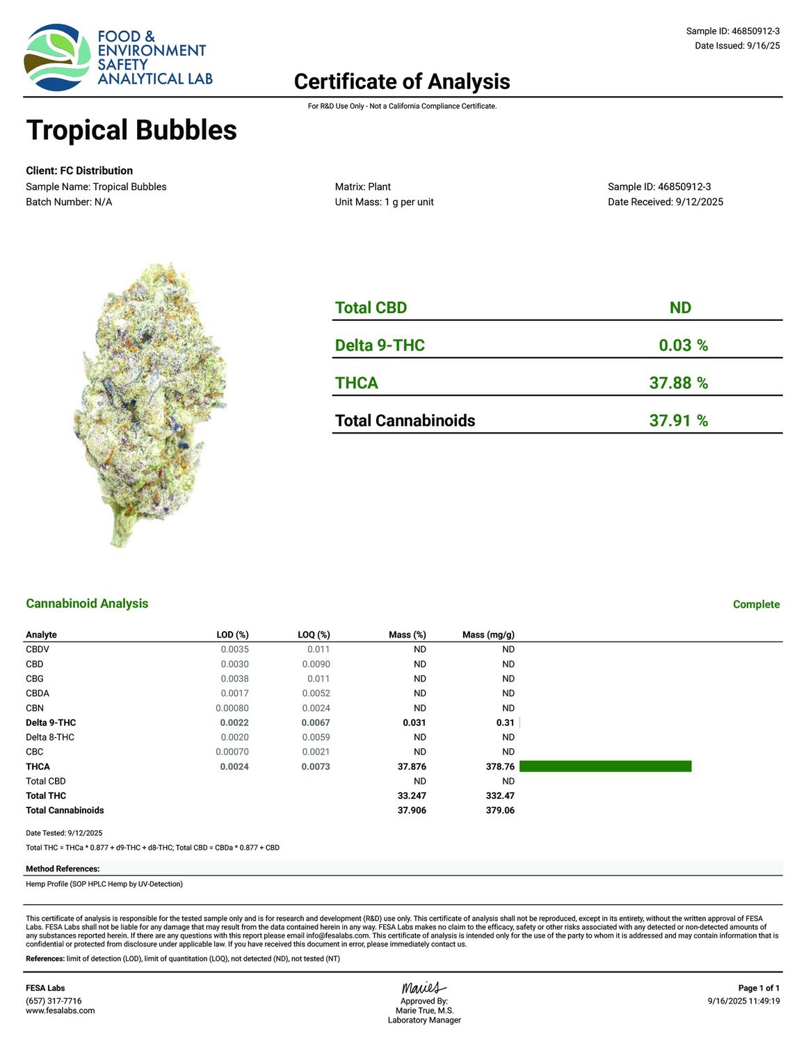 Tropical Bubbles - THCa Flower 37.88%