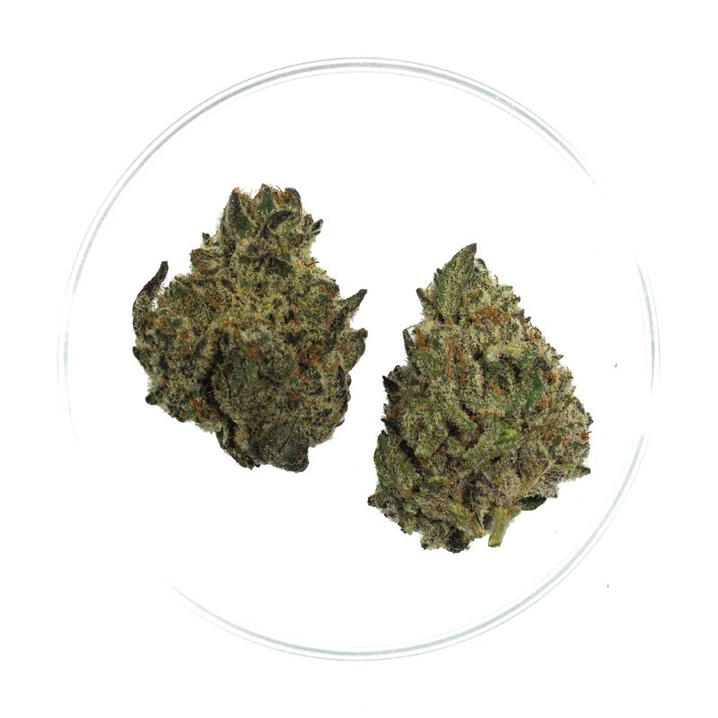 MAC Mintz - THCa Flower 40.64%