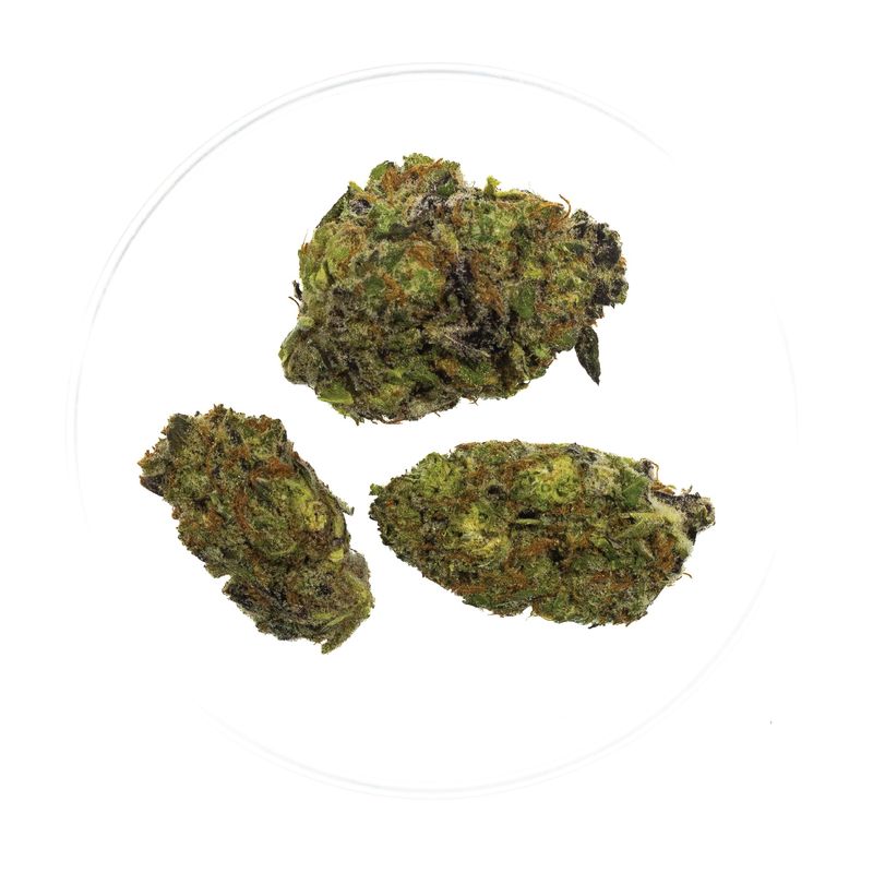 Money Maker - THCa Flower 37.98%