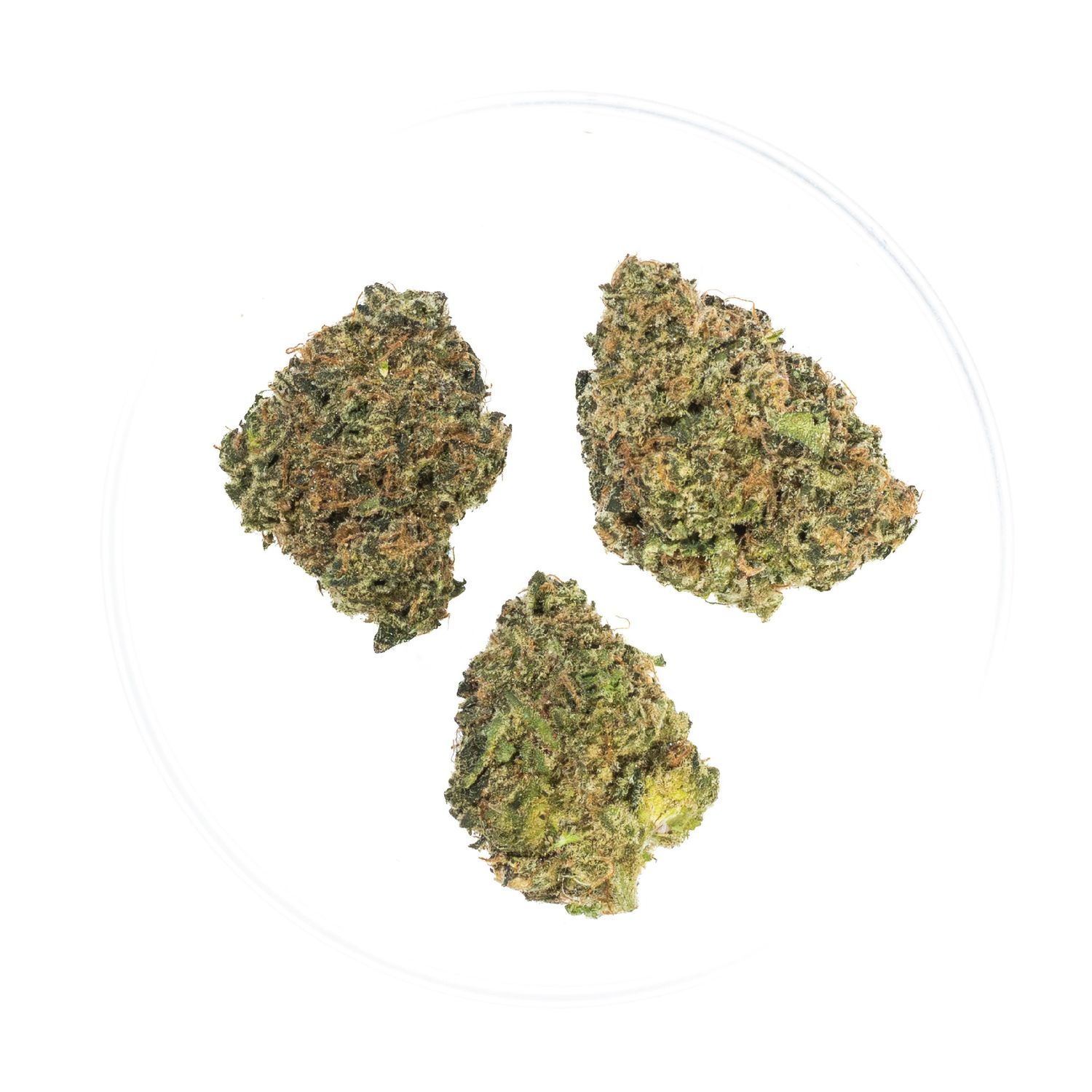 Caviar S2 - THCa Flower 37.22%