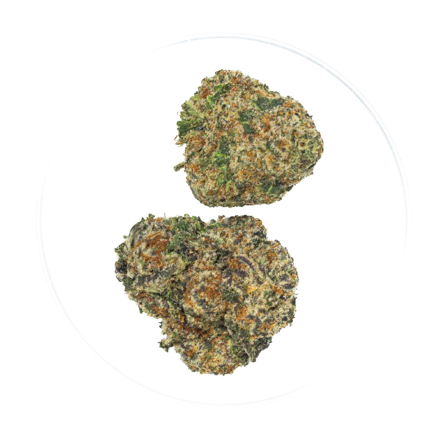 Pineapple Donut - THCa Flower 33.07%