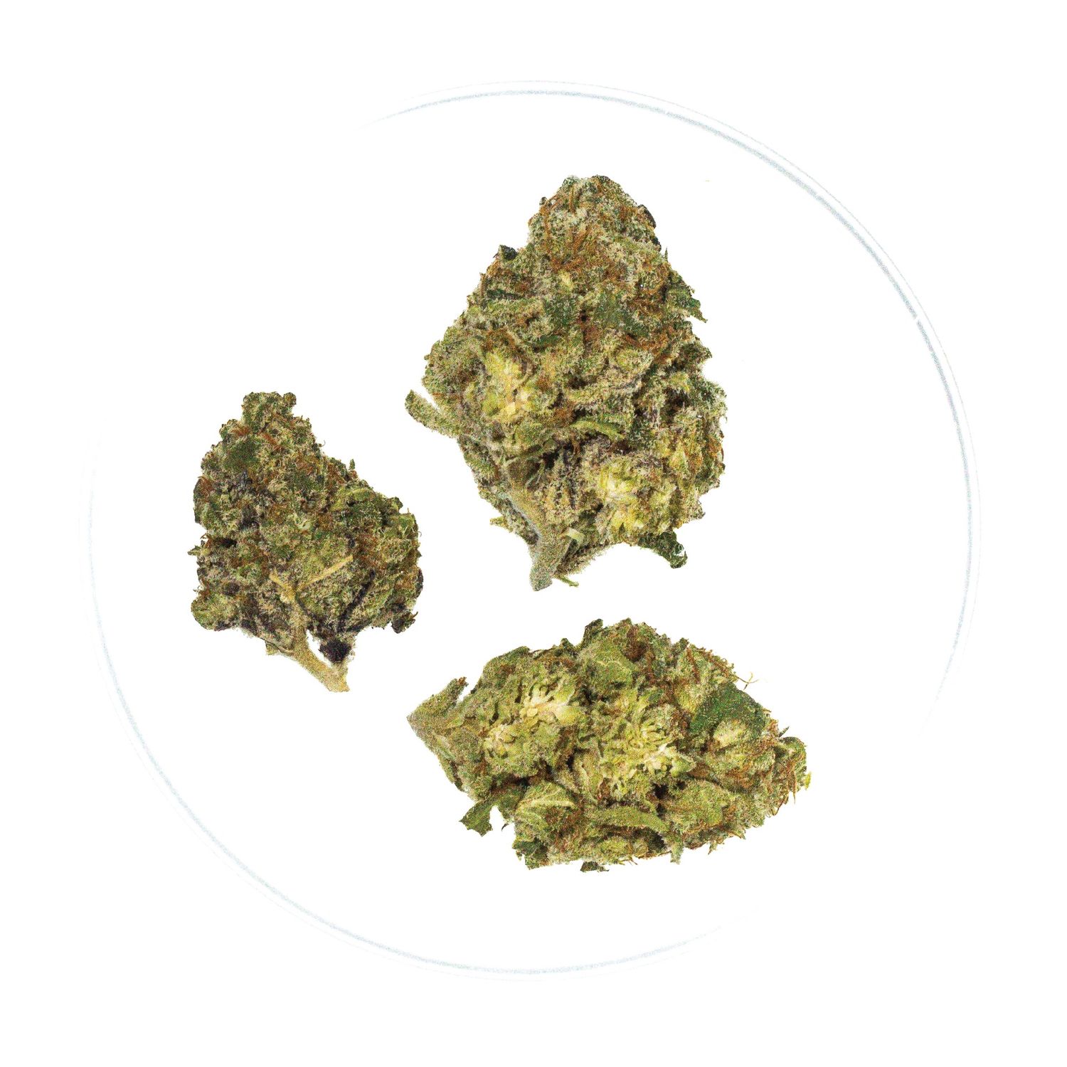 Lava Cake - THCa Flower 32.4%