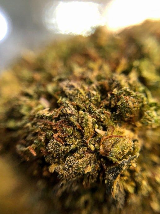 Girl Scout Cookies Delta 8 THC - 20.94% TAC (16.07% Delta 8)