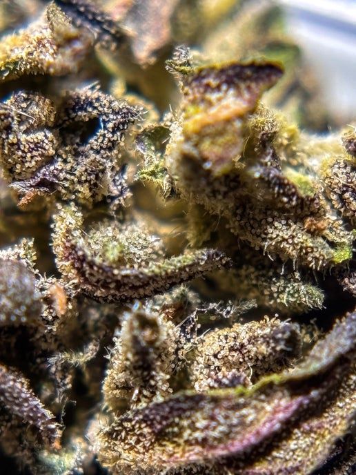 Stem Cell, CBG 12.32% TAC, Attribute 1: 14 grams