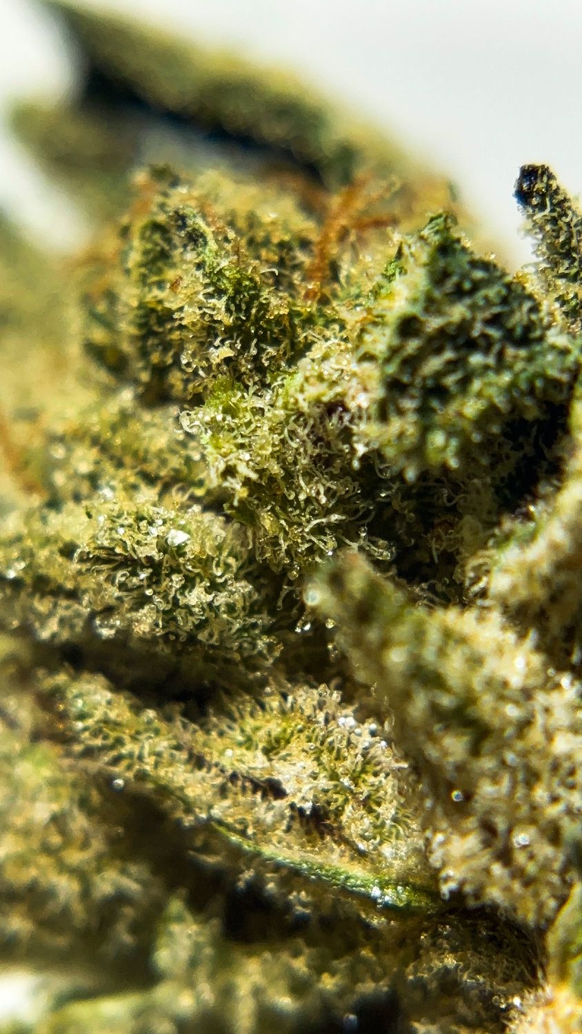 Double Runtz - THCa 28.69%, Attribute 1: 1g