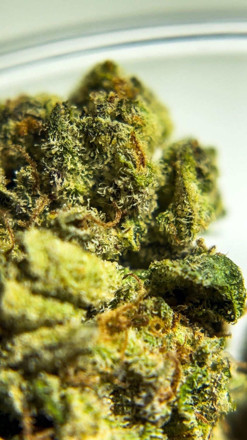 Peyote Haze - THCa 31.07%, Size: 1g