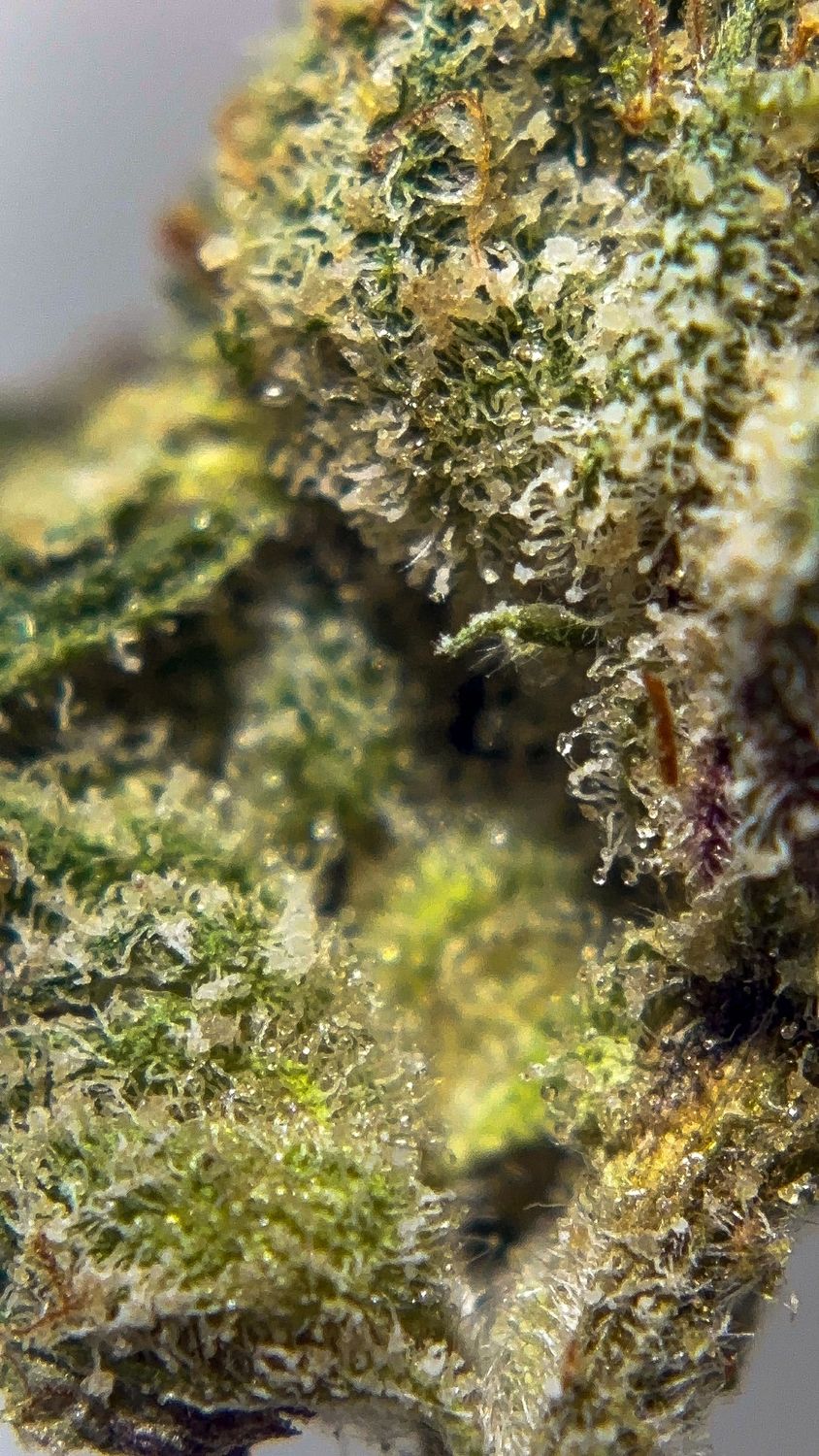 Jet Fuel - THCa 27.15%, Size: 1g