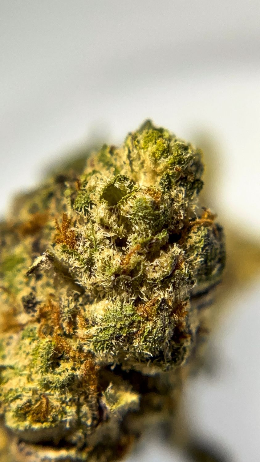 Lava Cake - THCa 32.4%, Size: 1g