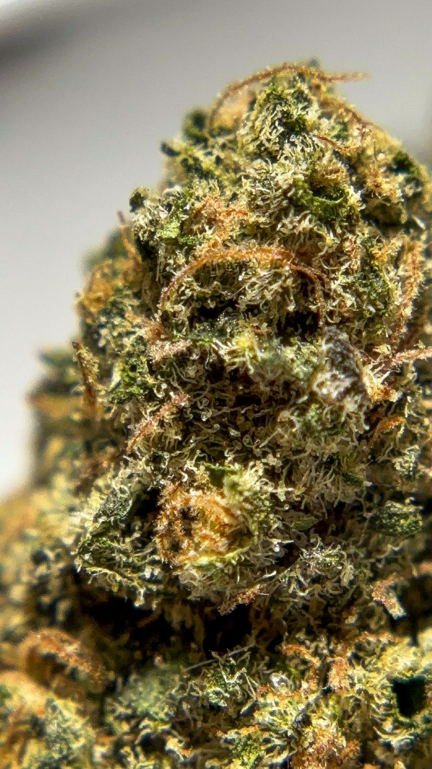 Caviar S2 - THCa 37.22%, Size: 1g