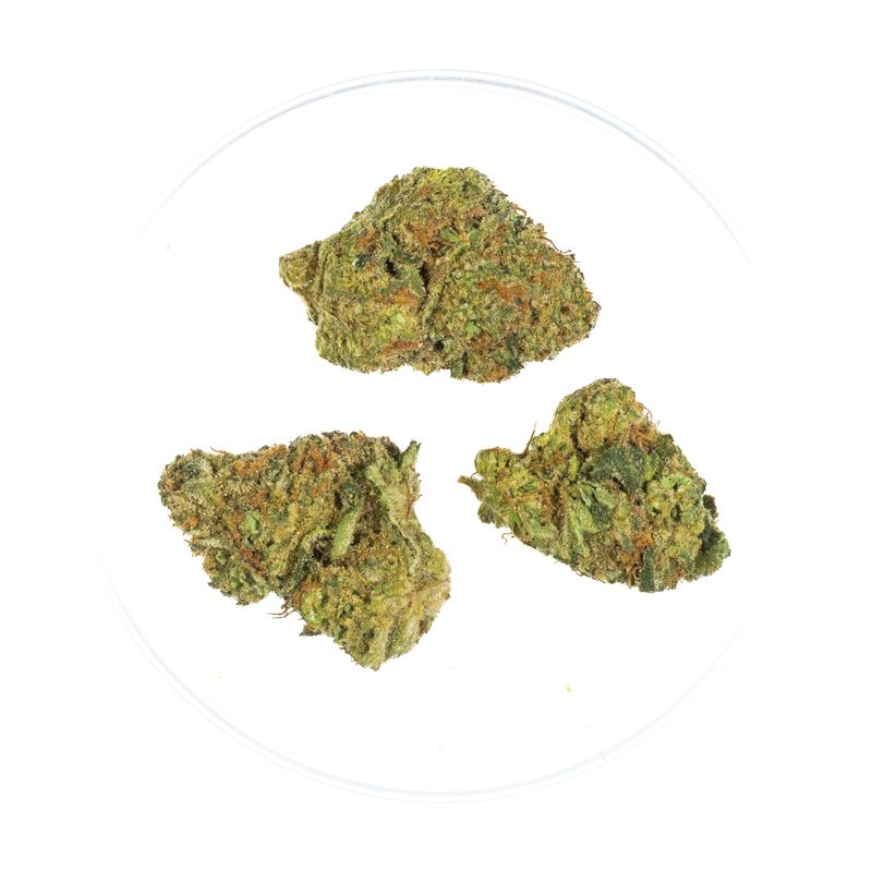 Orange Creamsicle - THCa 32.5%