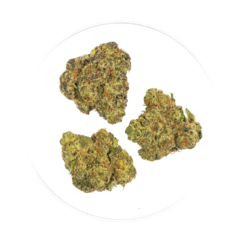 Purple Stardawg - THCa 35.7%