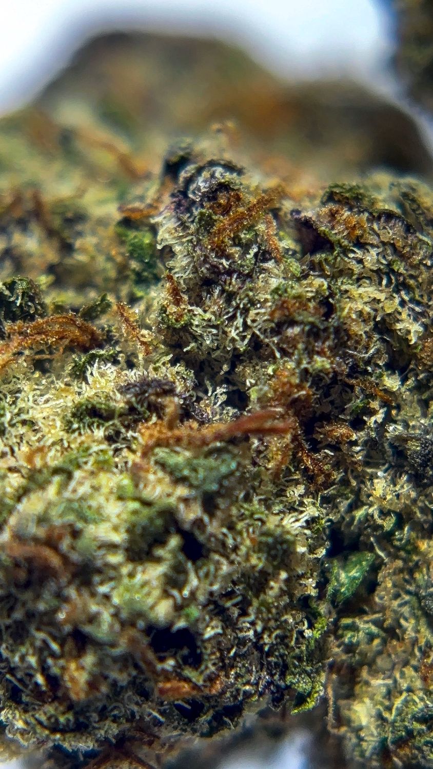 Purple Stardawg - THCa 35.7%, Size: 1g