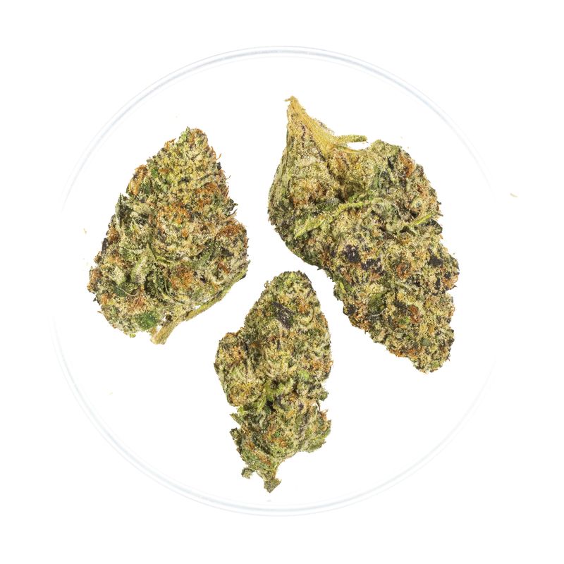 Sour Gas - THCa 35.6%