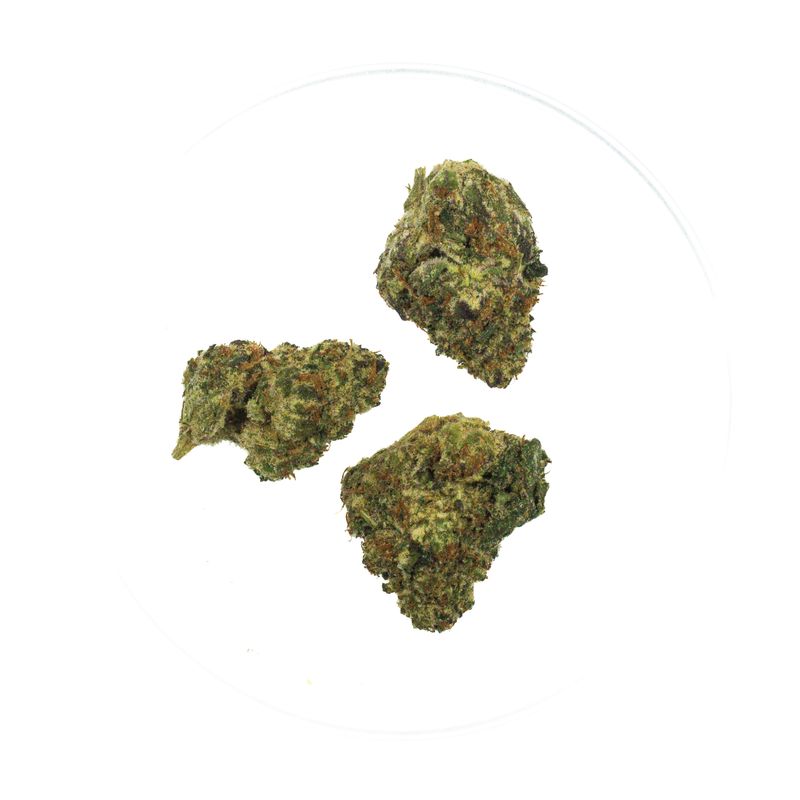 Purple Pancakes - THCa 33.81%