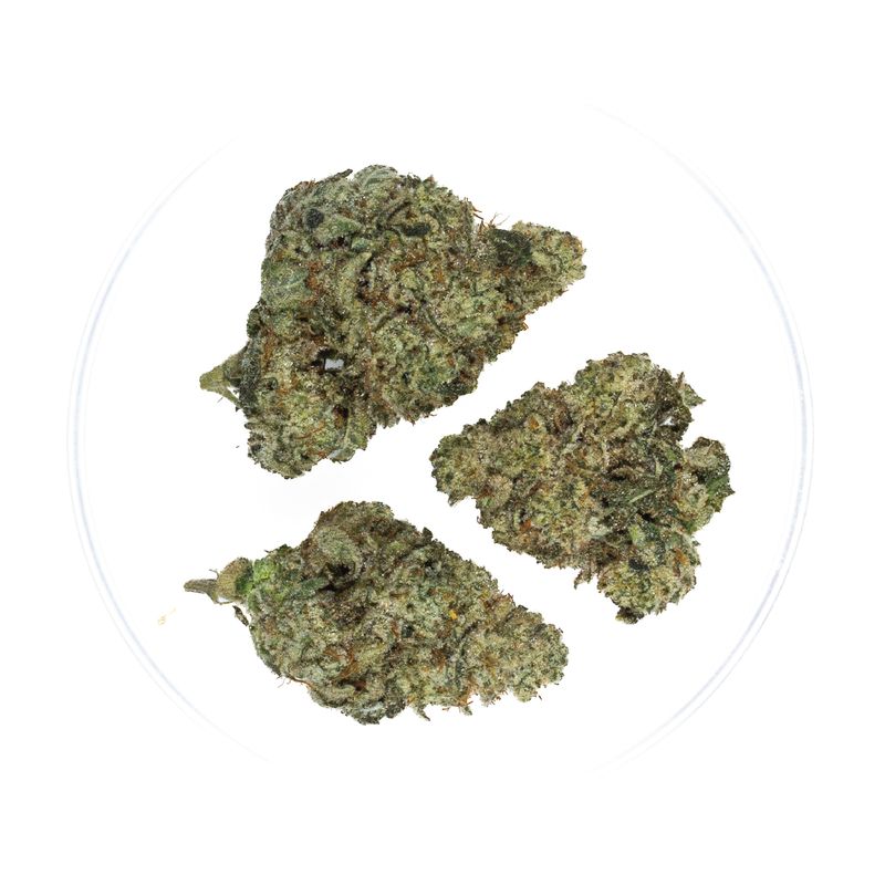 Dirty Girl - THCa  Flower 41.1%