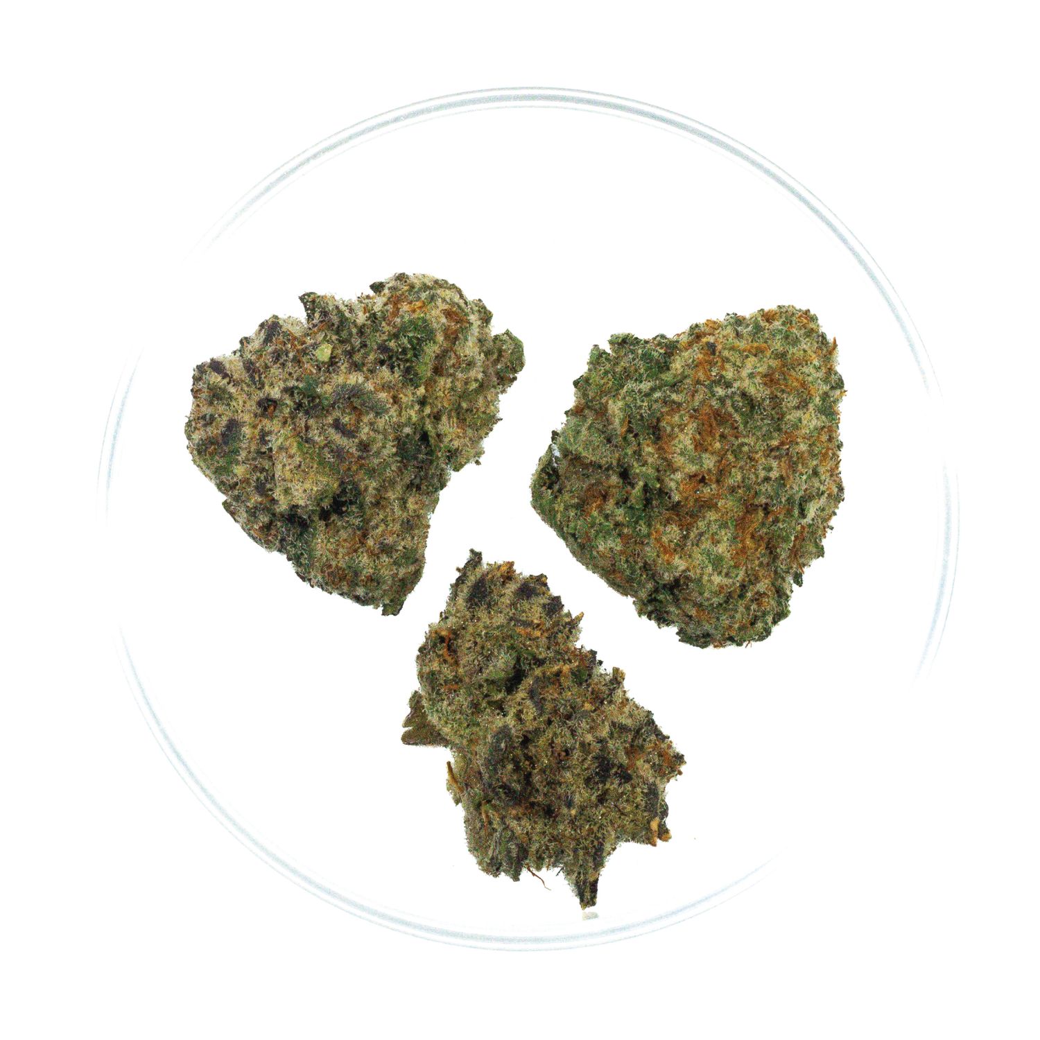 Lemon Cake - THCa 43.26%