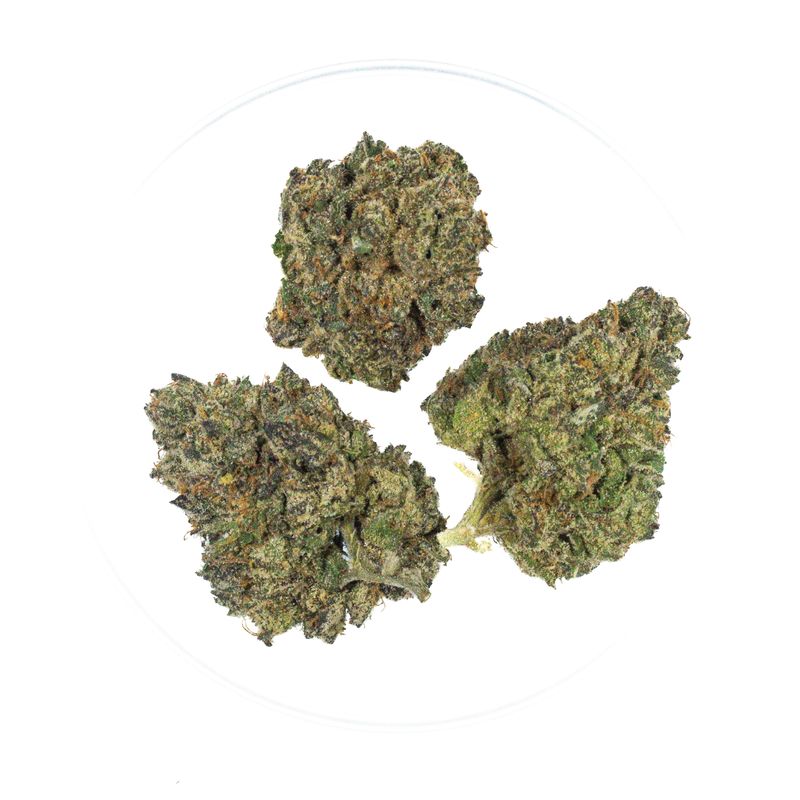 Orange Slushie - THCa 37.64%