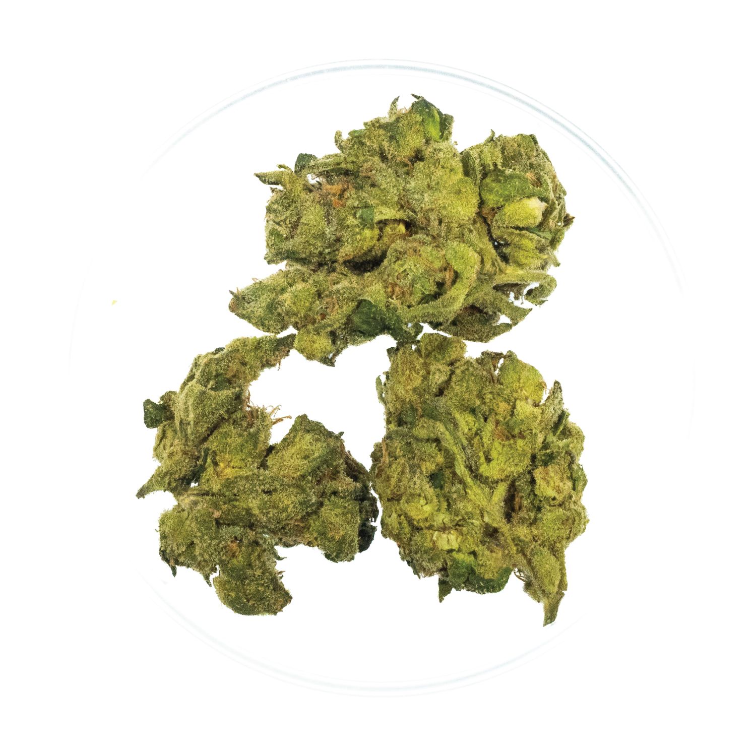 Piff Mints - THCa 29.35%