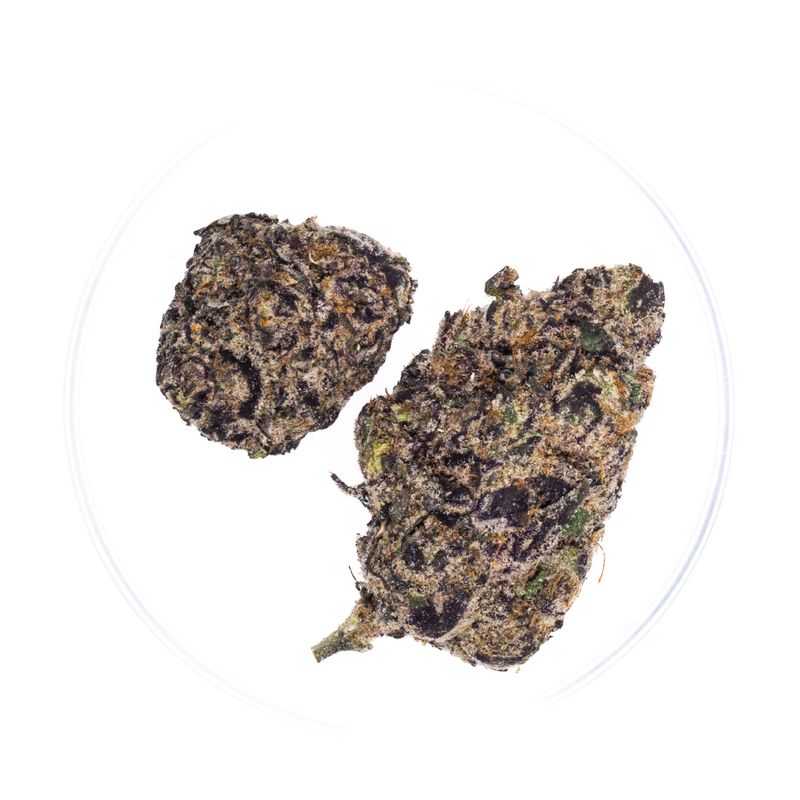 Black Patronus - THCa 35.77%