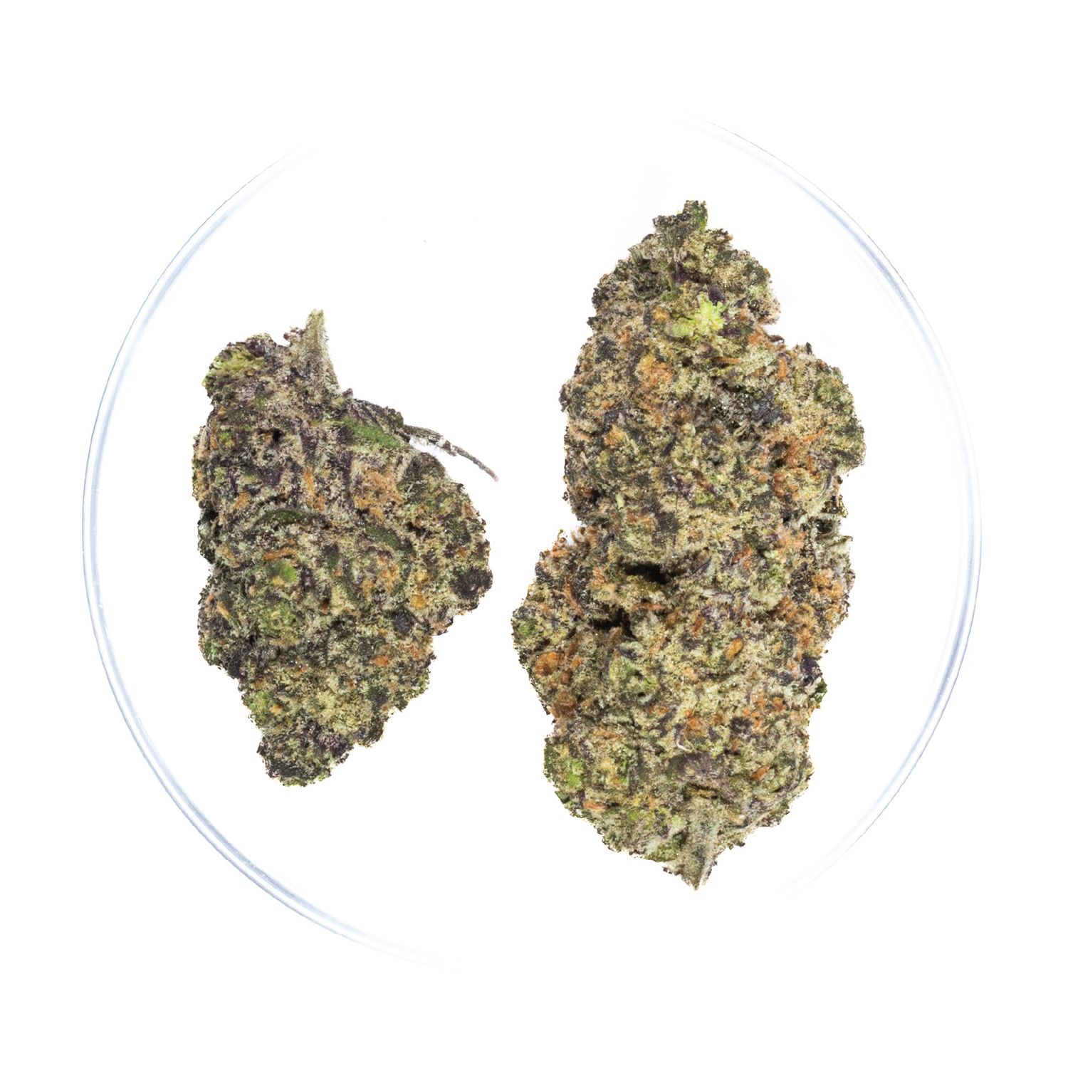 Grand Daddy Grape - THCa 36%