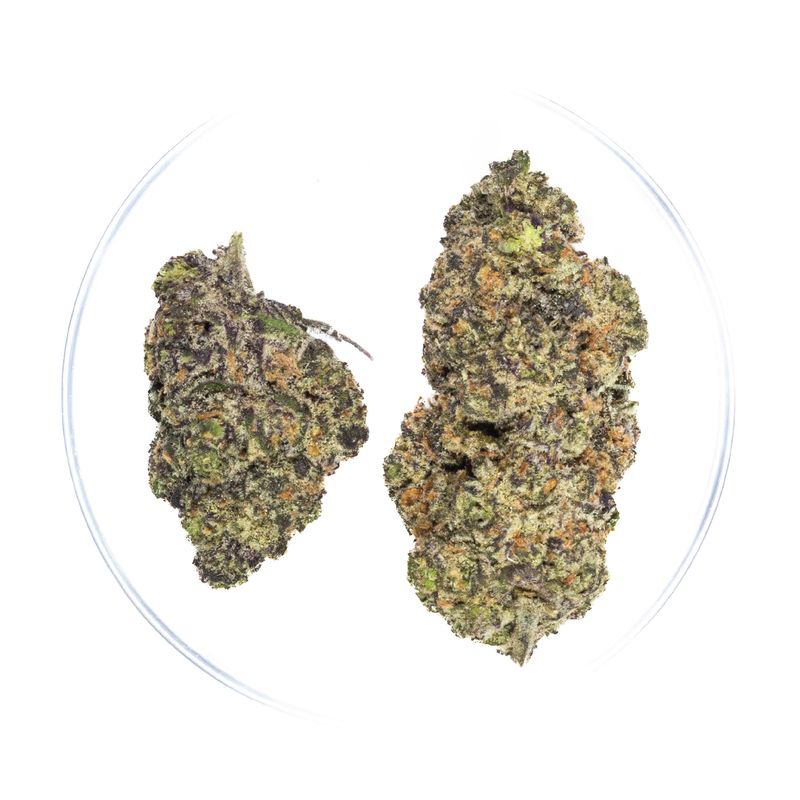 Grand Daddy Grape - THCa 36%