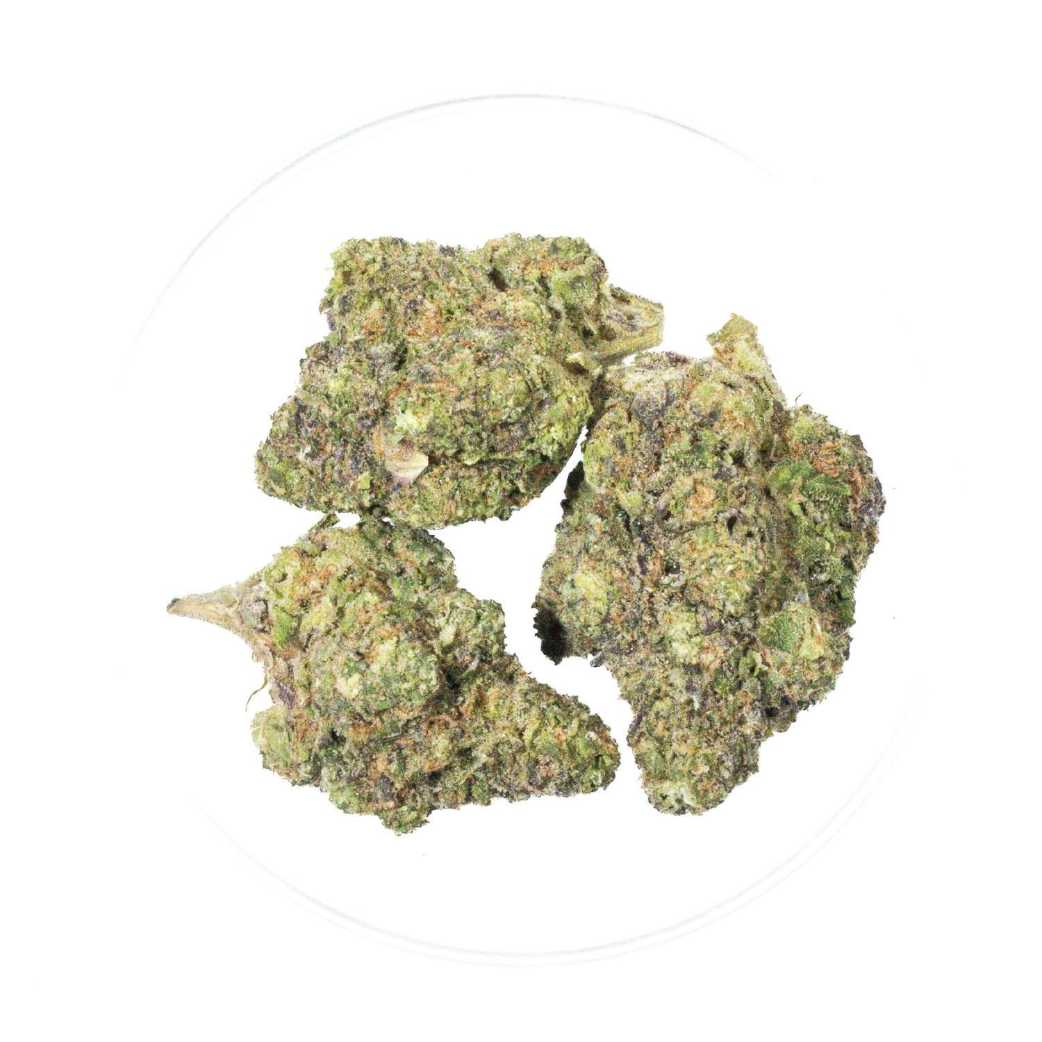 PTSD - THCa 39.59%