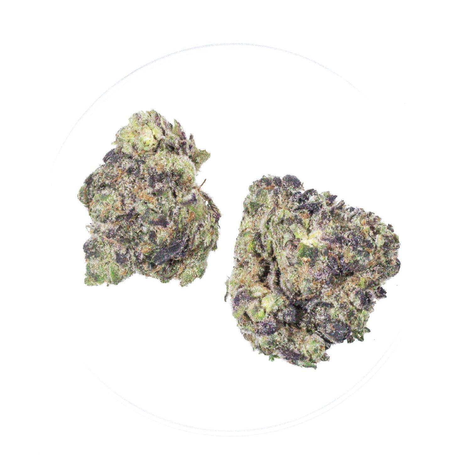 Scooby Snacks - THCa 37.98%