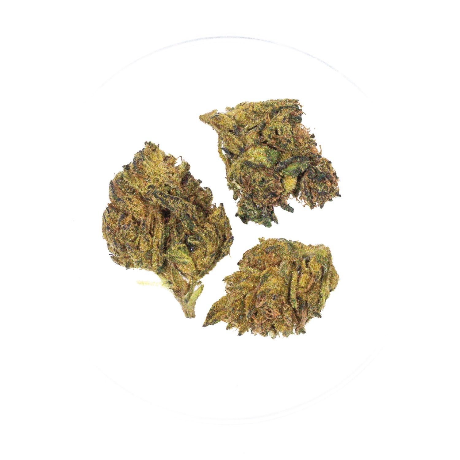Bubble Yum Yum - THCa 28.99%