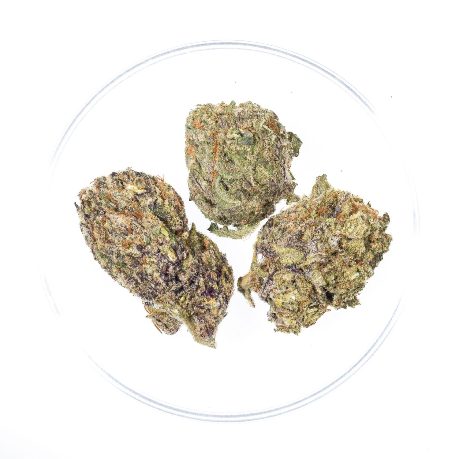 White Widow - THCa 38.66%