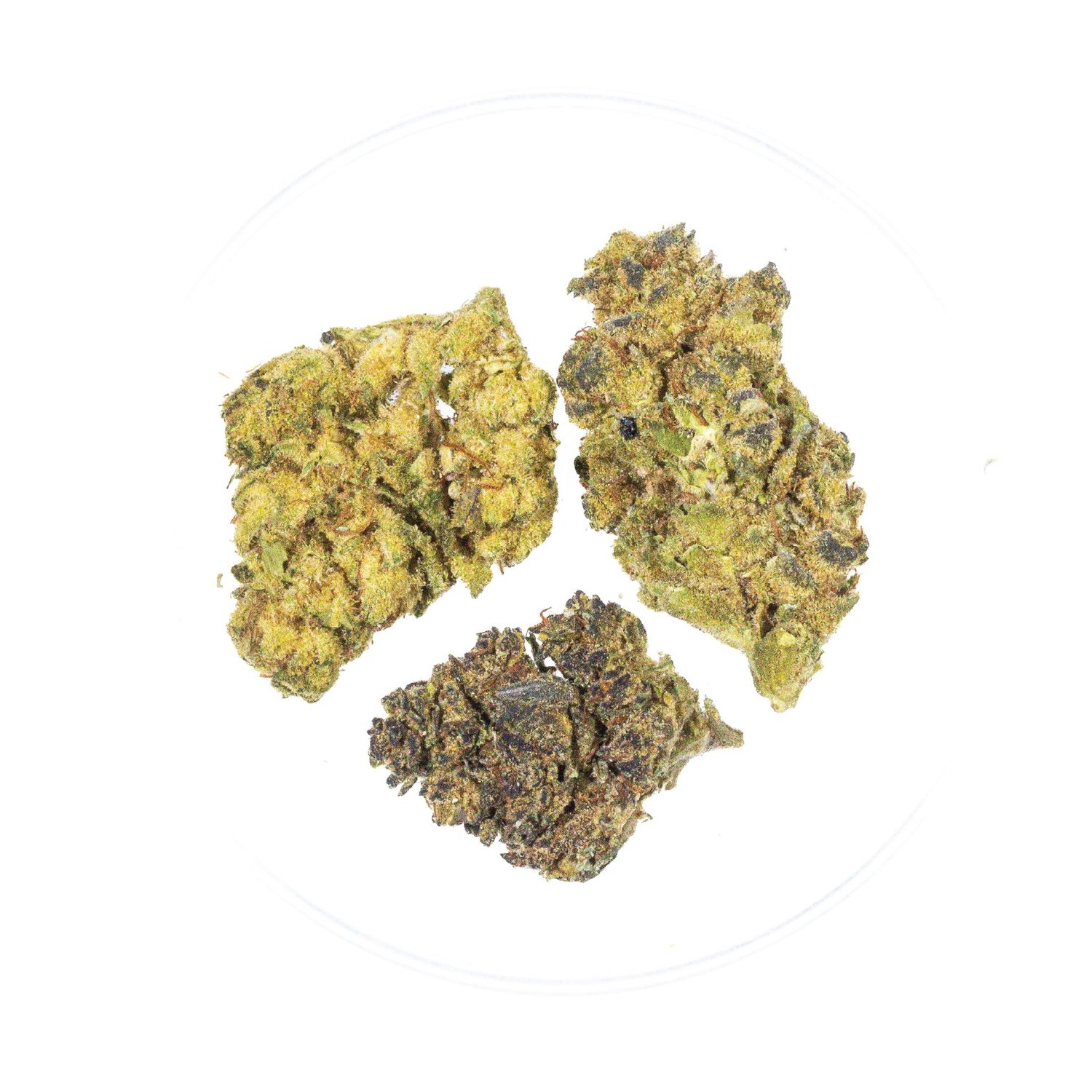 Betty White - THCa 26.64%