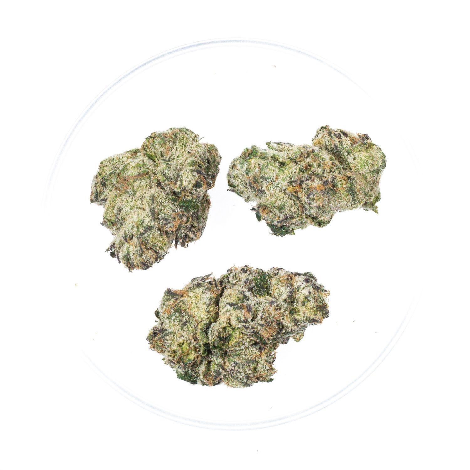 Candy Land - THCa 34.87%