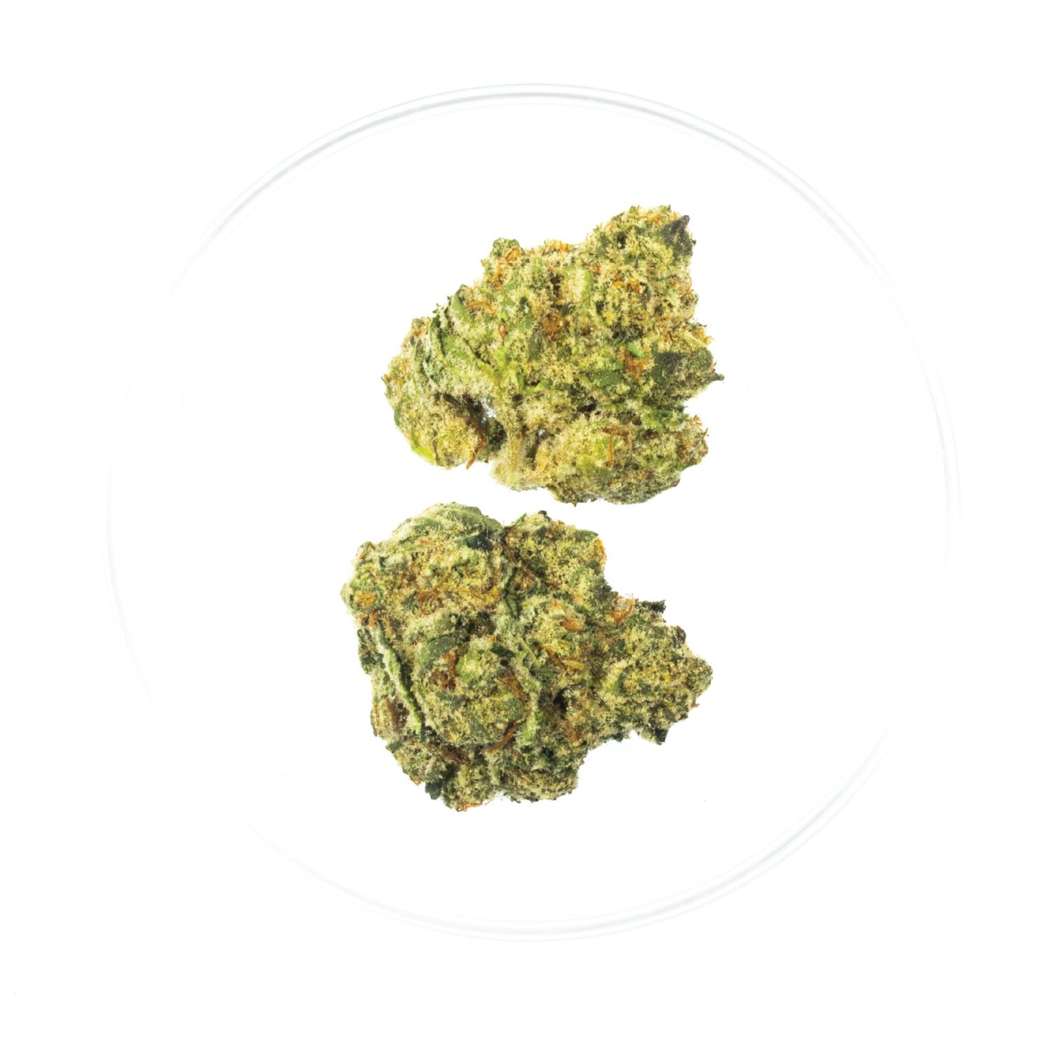 Willie Nelson - THCa 39.34%