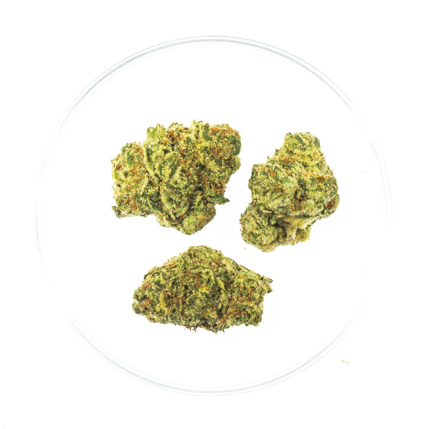 Sour Toad - THCa 37%