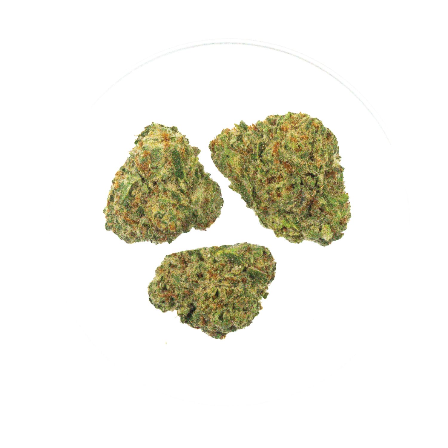 Tropical Lemon THCa - 36.2%